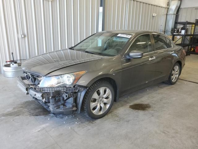 2009 Honda Accord EXL