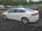 2014 Ford Fusion SE Hybrid