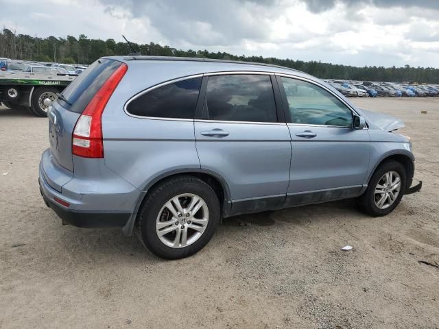 2010 Honda CR-V EXL