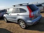 2007 Honda CR-V EXL