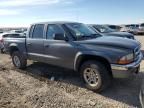 2004 Dodge Dakota Quad SLT