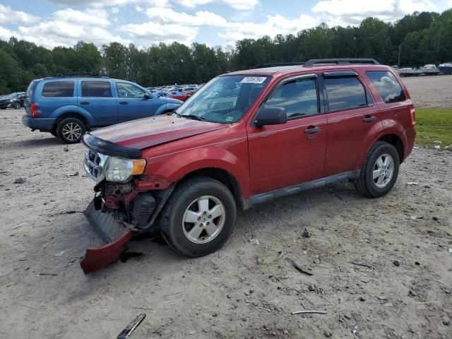 2012 Ford Escape XLT