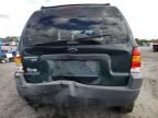 2003 Ford Escape XLT