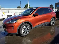 Salvage cars for sale at Littleton, CO auction: 2020 Ford Escape SEL