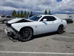 Dodge salvage cars for sale: 2022 Dodge Challenger R/T