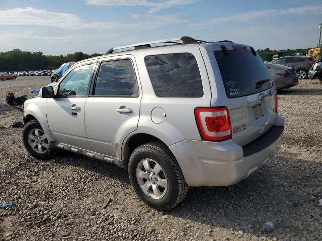 2011 Ford Escape Limited