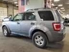 2008 Ford Escape HEV