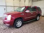 2010 Cadillac Escalade