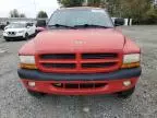 2000 Dodge Dakota