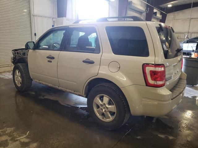 2009 Ford Escape XLT