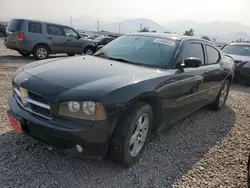 Salvage cars for sale at Magna, UT auction: 2009 Dodge Charger R/T