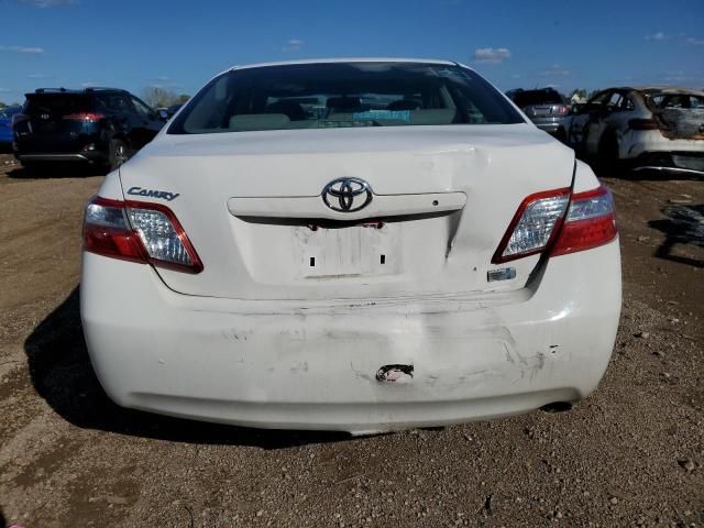 2009 Toyota Camry Hybrid