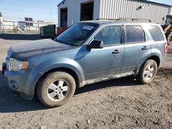 Ford salvage cars for sale: 2011 Ford Escape XLT