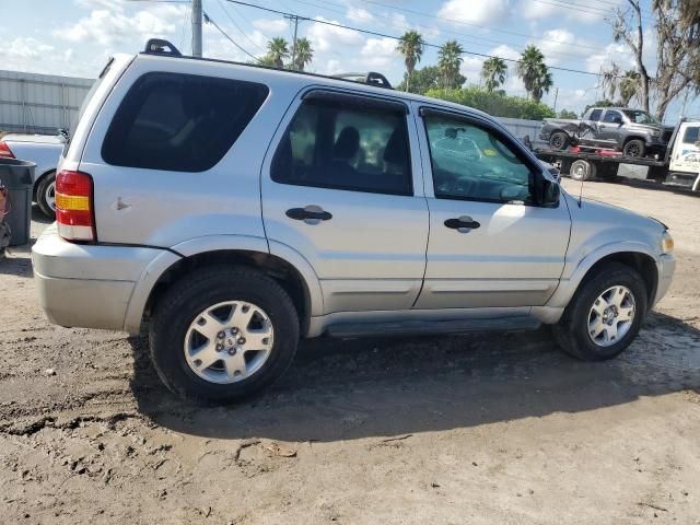 2007 Ford Escape XLT