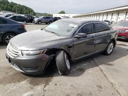 2015 Ford Taurus SEL en venta en Louisville, KY