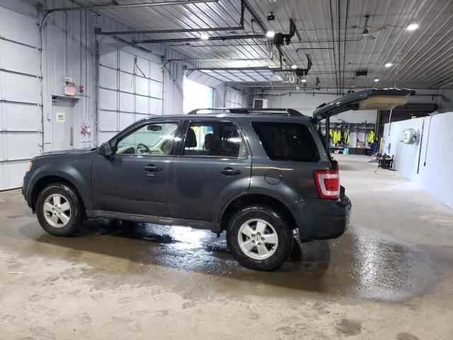 2009 Ford Escape XLT