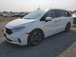 Honda salvage cars for sale: 2021 Honda Odyssey Elite