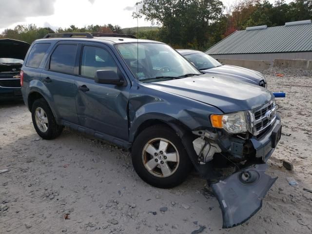 2012 Ford Escape XLT