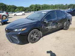 Salvage cars for sale at Conway, AR auction: 2022 Toyota Camry SE