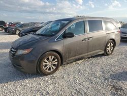 Vehiculos salvage en venta de Copart Temple, TX: 2017 Honda Odyssey EXL