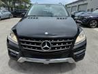 2014 Mercedes-Benz ML 350