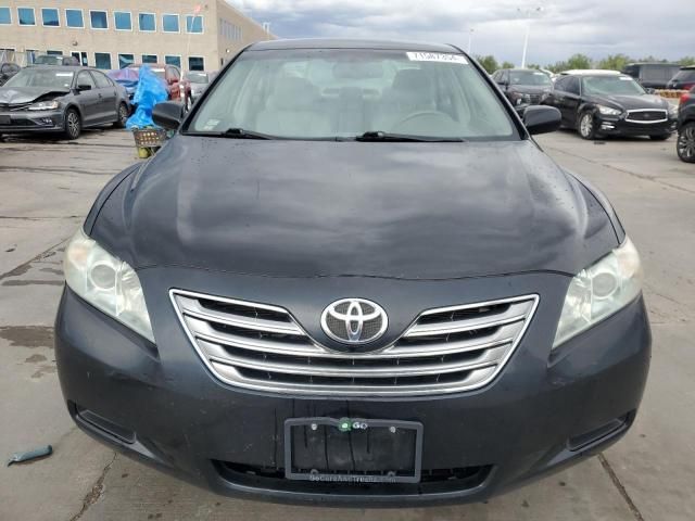 2009 Toyota Camry Hybrid