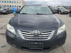 2009 Toyota Camry Hybrid