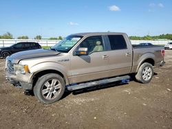 Ford salvage cars for sale: 2013 Ford F150 Supercrew