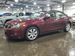 Honda salvage cars for sale: 2008 Honda Accord EXL