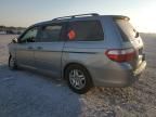 2007 Honda Odyssey EXL