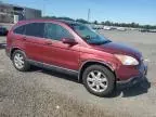 2007 Honda CR-V EXL