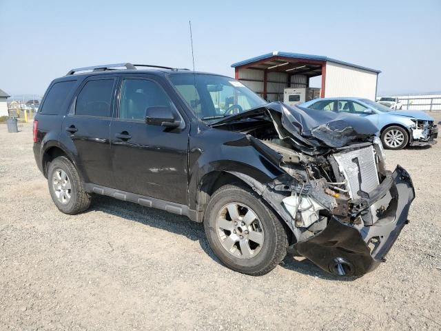 2011 Ford Escape Limited