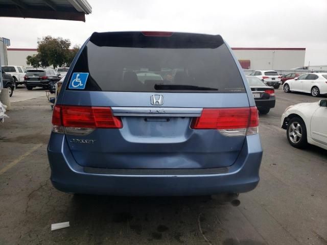 2008 Honda Odyssey EXL