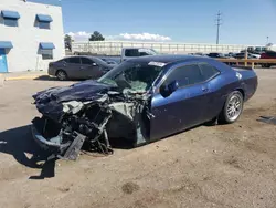 Salvage cars for sale at Albuquerque, NM auction: 2014 Dodge Challenger SXT