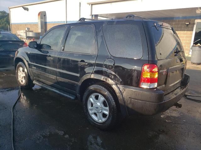 2001 Ford Escape XLT