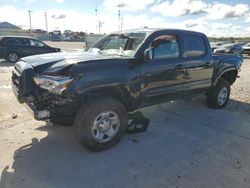 Salvage cars for sale from Copart Lawrenceburg, KY: 2023 Toyota Tacoma Double Cab