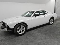 Dodge Challenger salvage cars for sale: 2013 Dodge Challenger SXT