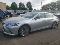 Salvage cars for sale at Moraine, OH auction: 2024 Lexus ES 300H Base