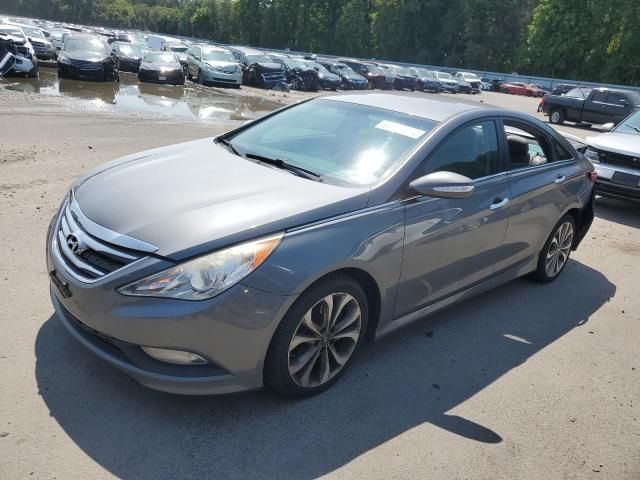 2014 Hyundai Sonata SE