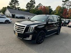 Salvage cars for sale at North Billerica, MA auction: 2016 Cadillac Escalade Luxury