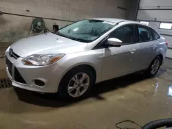 2013 Ford Focus SE en venta en Blaine, MN