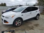 2014 Ford Escape S