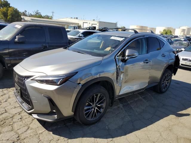 2024 Lexus NX 350H Base