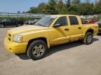 2006 Dodge Dakota Quad SLT