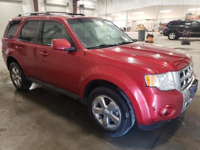 2012 Ford Escape Limited