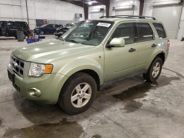 2008 Ford Escape HEV