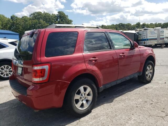 2011 Ford Escape Limited