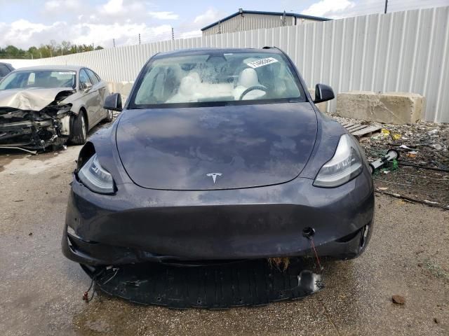 2020 Tesla Model Y