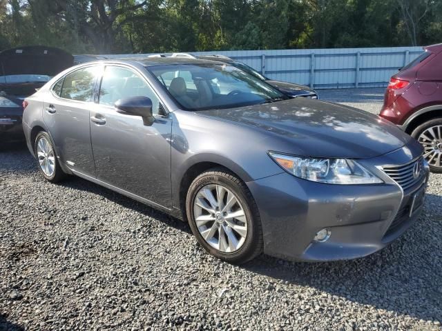 2014 Lexus ES 300H