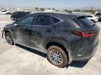 2025 Lexus NX 250 Base